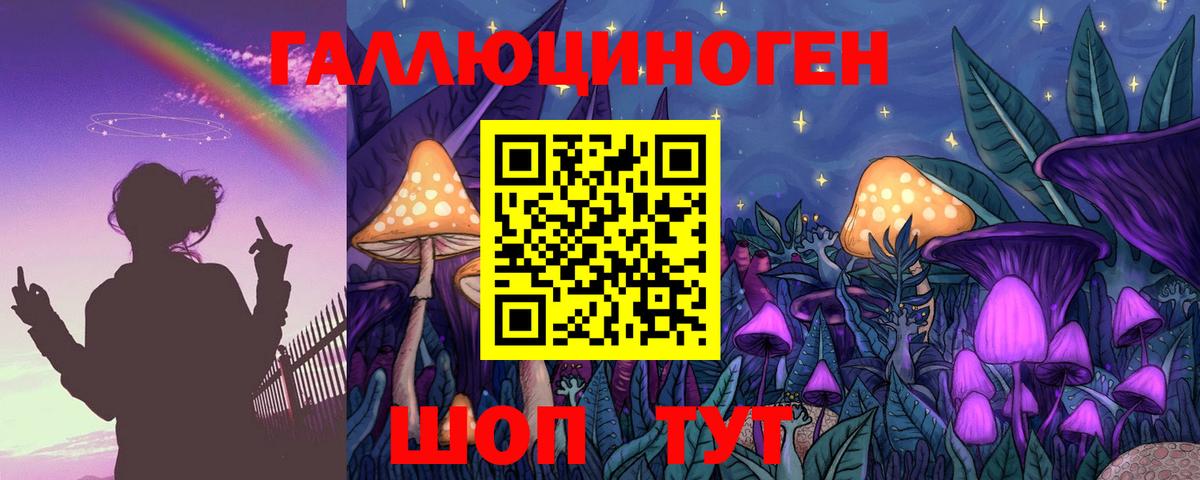 Тимашёвск  Галлюциногенные грибы Psilocybe  Вход с VPN  Псилоцибиновые грибы ЛСД 